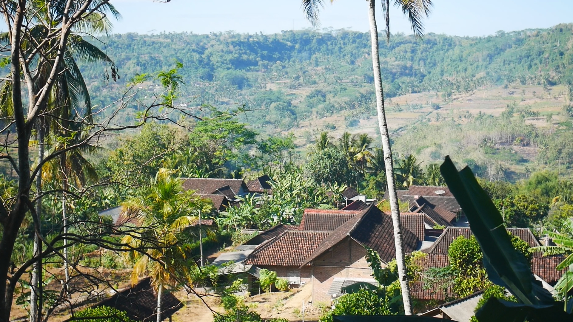 Produk UMKM Desa Balerejo